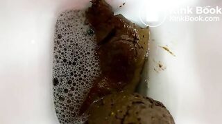 Panther's huge diameter turd blocks her toilet