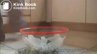 Poop in kitchen and toilet