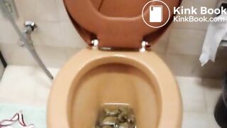 Girl shits brown poo into a brown toilet