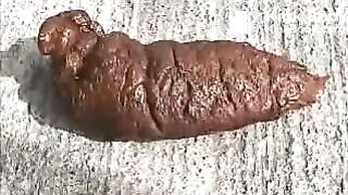 Latino girl's thick turds