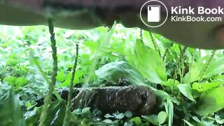 Urgent outdoor poop