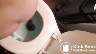 Overhead view of a nice big shit