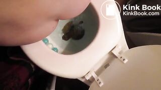 Overhead view of a nice big shit