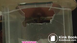 Cutouts Painful school of anal virgins 2