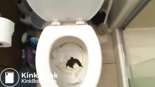 bowlcam 7