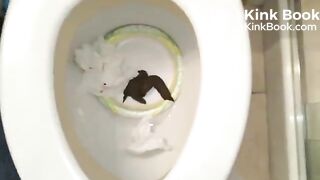 bowlcam 7