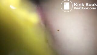 bowlcam 24