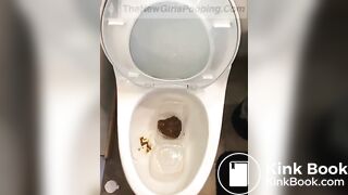 bowlcam 8