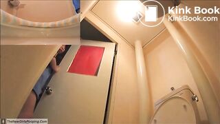 Japanese Guest Toilet