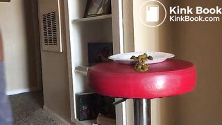 Girl Went to Poop on Plate and Missed