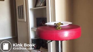Girl Went to Poop on Plate and Missed