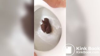 veganlinda - big shit in toilet bowl