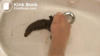 Pooping in the sink