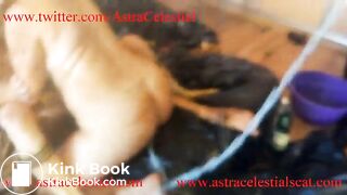 Hornt Scat Friends Complete Trailer