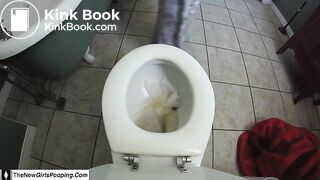 Clogging The Toilet Again