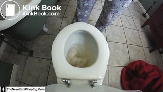 Clogging The Toilet Again