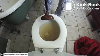 Clogging The Toilet Again