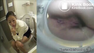 Japanese Western Toilet Bowlcam 20