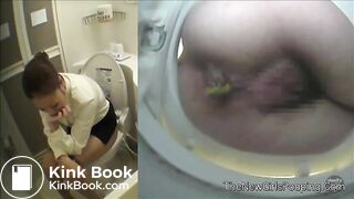 Japanese Western Toilet Bowlcam 20
