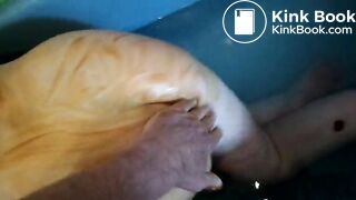SAM_8336