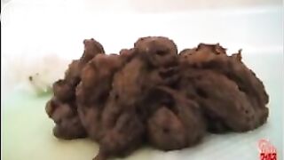 Floor Cam Shit