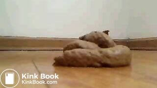 Floor Poop