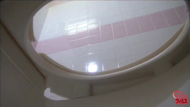 Japanese-Toilet-Bowlcam-353