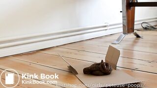 Three very large soft poops