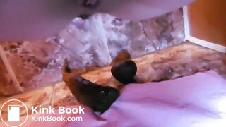 Big poop on the marble tiled floor