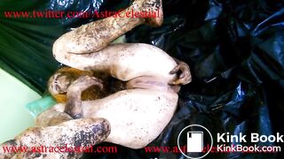 FireFly and Aria Total Scat Insanity Trailer for 5-6 parts