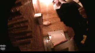 Japanese Western Toilet Bowlcam 52