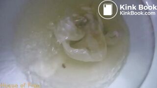 Big Load Clogs The Toilet