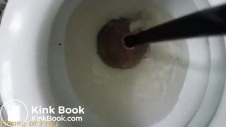 Big Load Clogs The Toilet