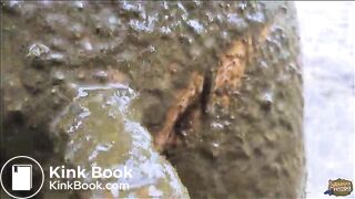 Manure Pit Anniversary