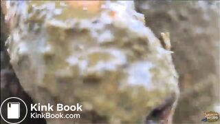 Manure Pit Anniversary