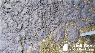 Manure Pit Anniversary