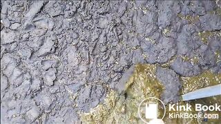 Manure Pit Anniversary