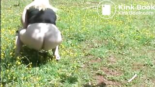 48fd3e3b-497d-4acb-bead-b86c67512f81