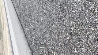 IMG_7227~video