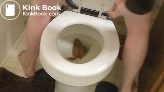 Gabbay's big toilet poop