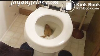 Gabbay's big toilet poop