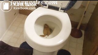 Gabbay's big toilet poop