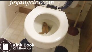 Gabbay's big toilet poop