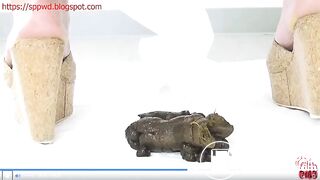 Two struggle to poop constipated