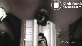 Big poop in a foil dish