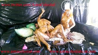 FireFly and Aria Total Scat Insanity Trailer for 3-4 parts