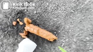 VeganLinda poops at the roadside