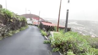 VeganLinda poops at the roadside