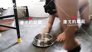 Nasty dogslave breakfast