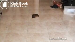 Ana Didovic — Poop
